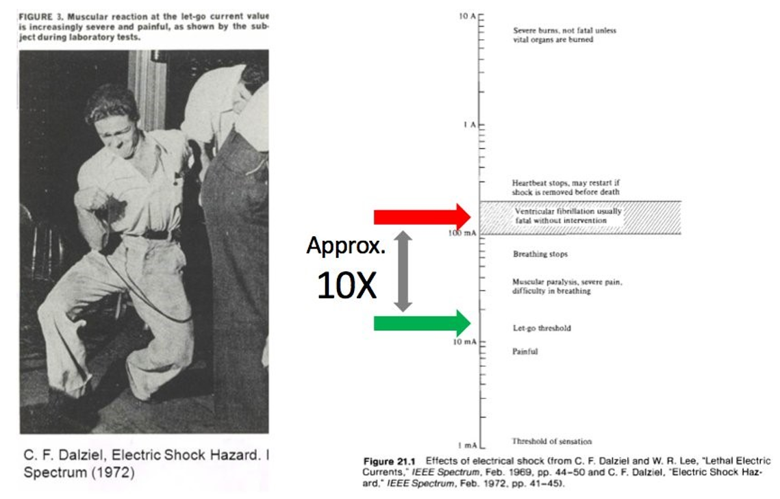 C.F. Dalziel Study | Rick Smith, The End of Killing