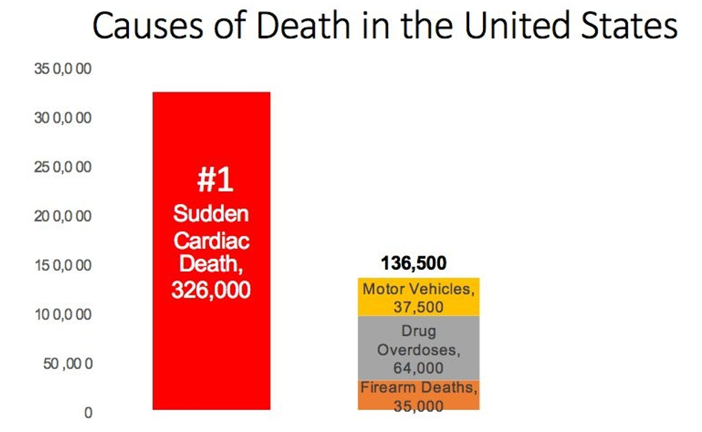 Causes of Death in United States | Rick Smith, The End of Killing