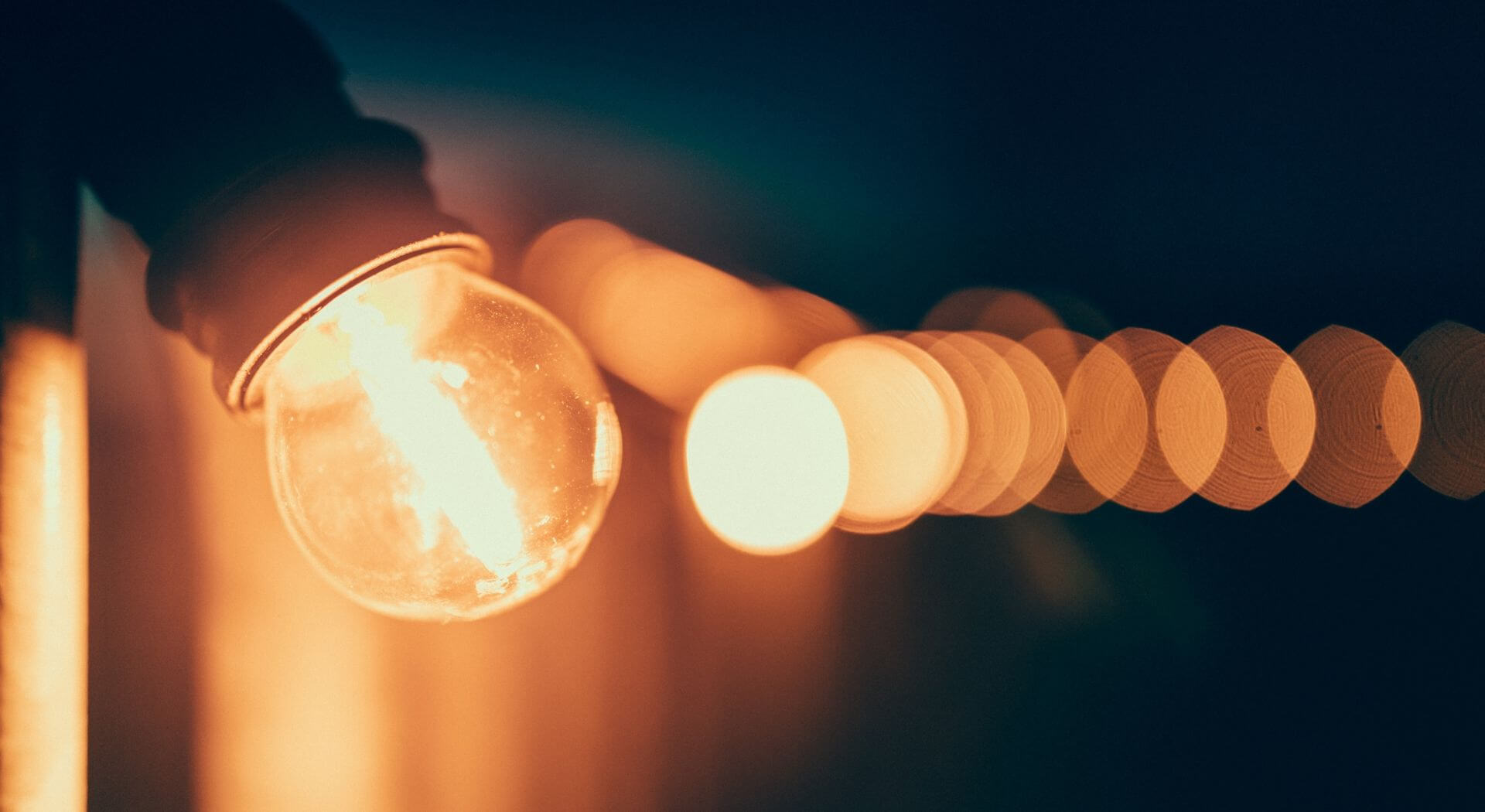 Incandescent Light Bulb | Rick Smith, The End of Killing Book